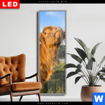 Wechselmotiv Dia Hochland Bulle Schmal Produktvorschau mit dem Bild Hochland-Bulle im Format Schmal.