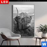 Wechselmotiv Dia Hochland Rind Schwarz Weiss No 2 Hochformat Produktvorschau mit dem Bild Hochland-Rind Schwarz-Weiß No. 2 im Format Hochformat.