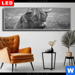 Wechselmotiv Dia Hochland Rind Schwarz Weiss No 2 Panorama Produktvorschau mit dem Bild Hochland-Rind Schwarz-Weiß No. 2 im Format Panorama.