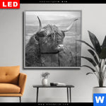 Wechselmotiv Dia Hochland Rind Schwarz Weiss No 2 Quadrat Produktvorschau mit dem Bild Hochland-Rind Schwarz-Weiß No. 2 im Format Quadrat.