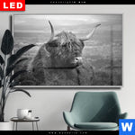 Wechselmotiv Dia Hochland Rind Schwarz Weiss No 2 Querformat Produktvorschau mit dem Bild Hochland-Rind Schwarz-Weiß No. 2 im Format Querformat.