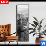 Wechselmotiv Dia Hochland Rind Schwarz Weiss No 2 Schmal Produktvorschau mit dem Bild Hochland-Rind Schwarz-Weiß No. 2 im Format Schmal.