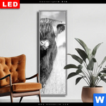 Wechselmotiv Dia Hochlandkuh Auf Einer Wiese Schmal Produktvorschau mit dem Bild Hochlandkuh auf einer Wiese im Format Schmal.