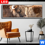 Wechselmotiv Dia Hochlandrind Auf Weide Panorama Produktvorschau mit dem Bild Hochlandrind auf Weide im Format Panorama.