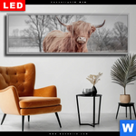 Wechselmotiv Dia Hochlandrind No 1 Panorama Produktvorschau mit dem Bild Hochlandrind No.1 im Format Panorama.