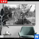 Wechselmotiv Dia Hochlandrind No 2 Querformat Produktvorschau mit dem Bild Hochlandrind No.2 im Format Querformat.