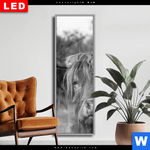Wechselmotiv Dia Hochlandrind No 2 Schmal Produktvorschau mit dem Bild Hochlandrind No.2 im Format Schmal.