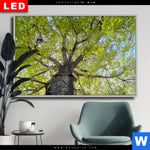 Wechselmotiv Dia Hoher Baum Querformat Produktvorschau mit dem Bild Hoher Baum im Format Querformat.