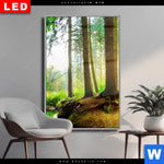 Wechselmotiv Dia Idyllischer Wald Bei Sonnenaufgang Hochformat Produktvorschau mit dem Bild Idyllischer Wald bei Sonnenaufgang im Format Hochformat.