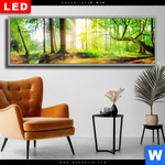 Wechselmotiv Dia Idyllischer Wald Bei Sonnenaufgang Panorama Produktvorschau mit dem Bild Idyllischer Wald bei Sonnenaufgang im Format Panorama.