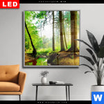 Wechselmotiv Dia Idyllischer Wald Bei Sonnenaufgang Quadrat Produktvorschau mit dem Bild Idyllischer Wald bei Sonnenaufgang im Format Quadrat.