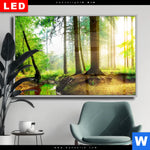 Wechselmotiv Dia Idyllischer Wald Bei Sonnenaufgang Querformat Produktvorschau mit dem Bild Idyllischer Wald bei Sonnenaufgang im Format Querformat.