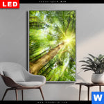 Wechselmotiv Dia Im Frischen Gruenen Wald Hochformat Produktvorschau mit dem Bild Im frischen grünen Wald im Format Hochformat.