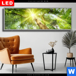 Wechselmotiv Dia Im Frischen Gruenen Wald Panorama Produktvorschau mit dem Bild Im frischen grünen Wald im Format Panorama.