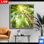 Wechselmotiv Dia Im Frischen Gruenen Wald Quadrat Produktvorschau mit dem Bild Im frischen grünen Wald im Format Quadrat.