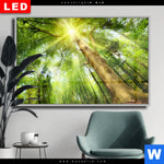 Wechselmotiv Dia Im Frischen Gruenen Wald Querformat Produktvorschau mit dem Bild Im frischen grünen Wald im Format Querformat.