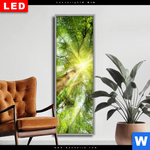 Wechselmotiv Dia Im Frischen Gruenen Wald Schmal Produktvorschau mit dem Bild Im frischen grünen Wald im Format Schmal.