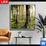 Wechselmotiv Dia Im Tiefen Wald Quadrat Produktvorschau mit dem Bild Im tiefen Wald im Format Quadrat.