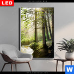 Wechselmotiv Dia Im Wald Hochformat Produktvorschau mit dem Bild Im Wald im Format Hochformat.