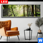 Wechselmotiv Dia Im Wald Panorama Produktvorschau mit dem Bild Im Wald im Format Panorama.