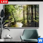 Wechselmotiv Dia Im Wald Querformat Produktvorschau mit dem Bild Im Wald im Format Querformat.