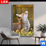 Wechselmotiv Dia Junger Fuchs Hochformat Produktvorschau mit dem Bild Junger Fuchs im Format Hochformat.