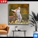 Wechselmotiv Dia Junger Fuchs Quadrat Produktvorschau mit dem Bild Junger Fuchs im Format Quadrat.