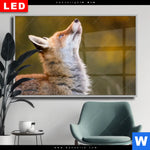 Wechselmotiv Dia Junger Fuchs Querformat Produktvorschau mit dem Bild Junger Fuchs im Format Querformat.