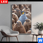 Wechselmotiv Dia Koenigspinguine Hochformat Produktvorschau mit dem Bild Königspinguine im Format Hochformat.