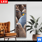 Wechselmotiv Dia Koenigspinguine Schmal Produktvorschau mit dem Bild Königspinguine im Format Schmal.