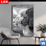 Wechselmotiv Dia Kontrast Loewenkraft Hochformat Produktvorschau mit dem Bild Kontrast Löwenkraft im Format Hochformat.