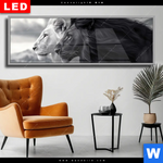 Wechselmotiv Dia Kontrast Loewenkraft Panorama Produktvorschau mit dem Bild Kontrast Löwenkraft im Format Panorama.