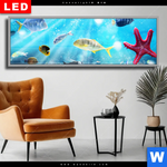 Wechselmotiv Dia Korallenriff Im Ozean Panorama Produktvorschau mit dem Bild Korallenriff im Ozean im Format Panorama.