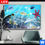 Wechselmotiv Dia Korallenriff Im Ozean Querformat Produktvorschau mit dem Bild Korallenriff im Ozean im Format Querformat.