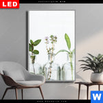 Wechselmotiv Dia Kraeuter In Flaschen Hochformat Produktvorschau mit dem Bild Kräuter in Flaschen im Format Hochformat.