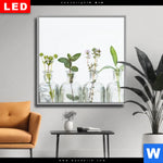 Wechselmotiv Dia Kraeuter In Flaschen Quadrat Produktvorschau mit dem Bild Kräuter in Flaschen im Format Quadrat.