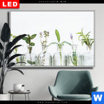 Wechselmotiv Dia Kraeuter In Flaschen Querformat Produktvorschau mit dem Bild Kräuter in Flaschen im Format Querformat.