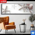 Wechselmotiv Dia Kuestenfeeling Muschel Panorama Produktvorschau mit dem Bild Küstenfeeling - Muschel im Format Panorama.