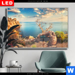 Wechselmotiv Dia Kuestenlandschaft Mit Altem Baum Querformat Produktvorschau mit dem Bild Küstenlandschaft mit altem Baum im Format Querformat.