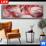 Wechselmotiv Dia Kuschelnde Flamingos Panorama Produktvorschau mit dem Bild Kuschelnde Flamingos im Format Panorama.
