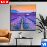Wechselmotiv Dia Lavendel Blumen Feld Quadrat Produktvorschau mit dem Bild Lavendel Blumen Feld im Format Quadrat.