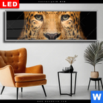 Wechselmotiv Dia Leopard Im Wasser Panorama Produktvorschau mit dem Bild Leopard im Wasser im Format Panorama.