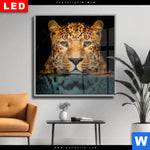 Wechselmotiv Dia Leopard Im Wasser Quadrat Produktvorschau mit dem Bild Leopard im Wasser im Format Quadrat.