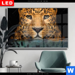 Wechselmotiv Dia Leopard Im Wasser Querformat Produktvorschau mit dem Bild Leopard im Wasser im Format Querformat.
