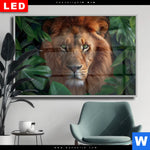 Wechselmotiv Dia Loewe Im Gruenen Regenwald Querformat Produktvorschau mit dem Bild Löwe im grünen Regenwald im Format Querformat.