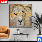 Wechselmotiv Dia Loewe Quadrat Produktvorschau mit dem Bild Löwe im Format Quadrat.