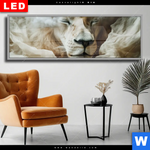 Wechselmotiv Dia Loewe Sanft Umhuellt Panorama Produktvorschau mit dem Bild Löwe sanft umhüllt im Format Panorama.