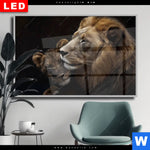 Wechselmotiv Dia Loewen Staerke Und Zaertlichkeit Querformat Produktvorschau mit dem Bild Löwen - Stärke und Zärtlichkeit im Format Querformat.