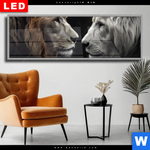 Wechselmotiv Dia Loewen Zweisamkeit Panorama Produktvorschau mit dem Bild Löwen - Zweisamkeit im Format Panorama.