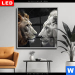 Wechselmotiv Dia Loewen Zweisamkeit Quadrat Produktvorschau mit dem Bild Löwen - Zweisamkeit im Format Quadrat.